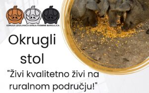 Pročitajte više o članku Završno događanje projekta “Živi kvalitetno, živi na ruralnom području!”